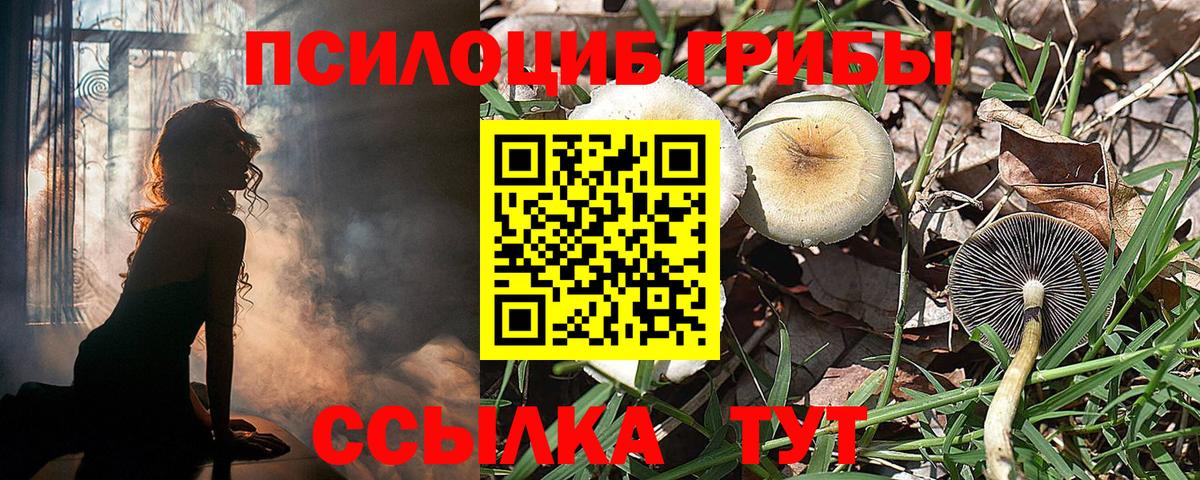 Псилоцибиновые грибы ЛСД Михайловка