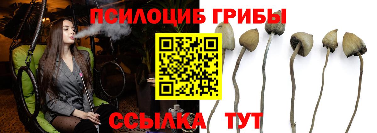 Галлюциногенные грибы Cubensis  Вход с VPN  Михайловка 